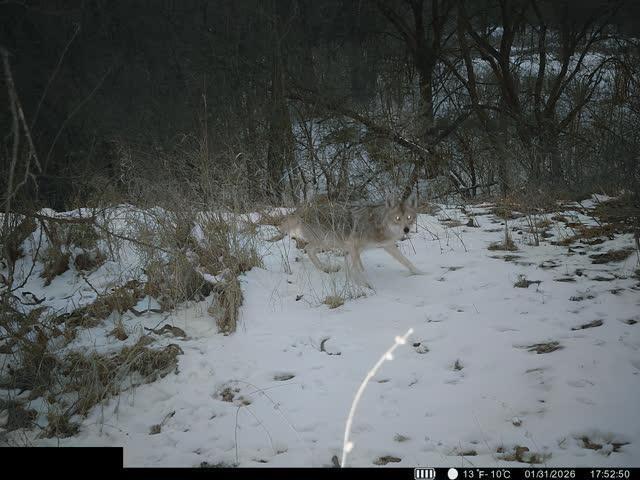 Lot 1 U Road Hoyt, KS 66440 - Photo 13 of 13