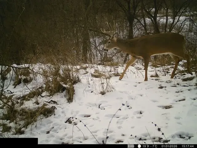 $400,000 | Lot 1 U Road, Hoyt, KS 66440