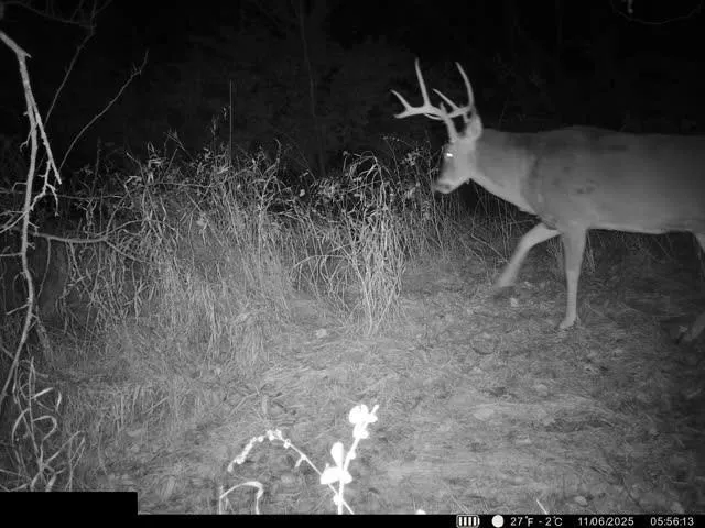 $400,000 | Lot 1 U Road, Hoyt, KS 66440