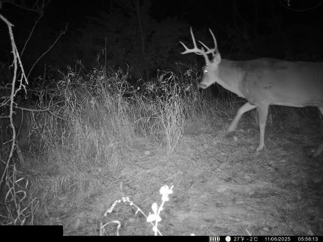 Lot 1 U Road Hoyt, KS 66440 - Photo 8 of 13