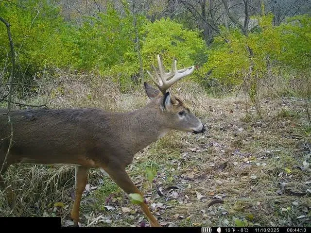 $400,000 | Lot 1 U Road, Hoyt, KS 66440