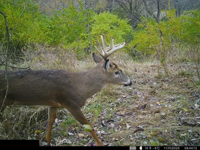 Lot 1 U Road Hoyt, KS 66440 - Photo 10 of 13