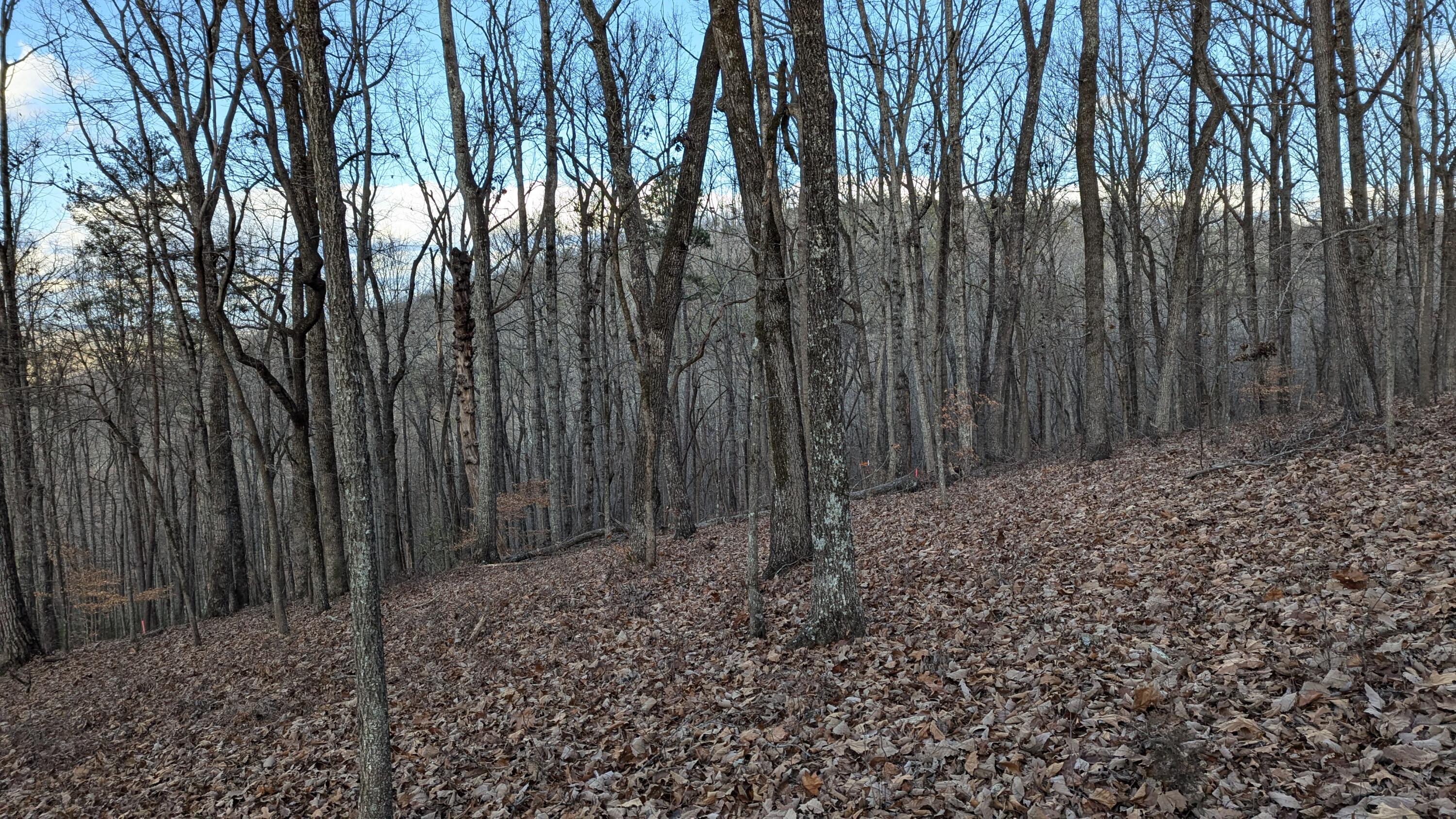 0 Candies Creek Ridge Road, Unit LOT 1 Cleveland, TN 37312 - Photo 3 of 16 PXL_20250103_204916472