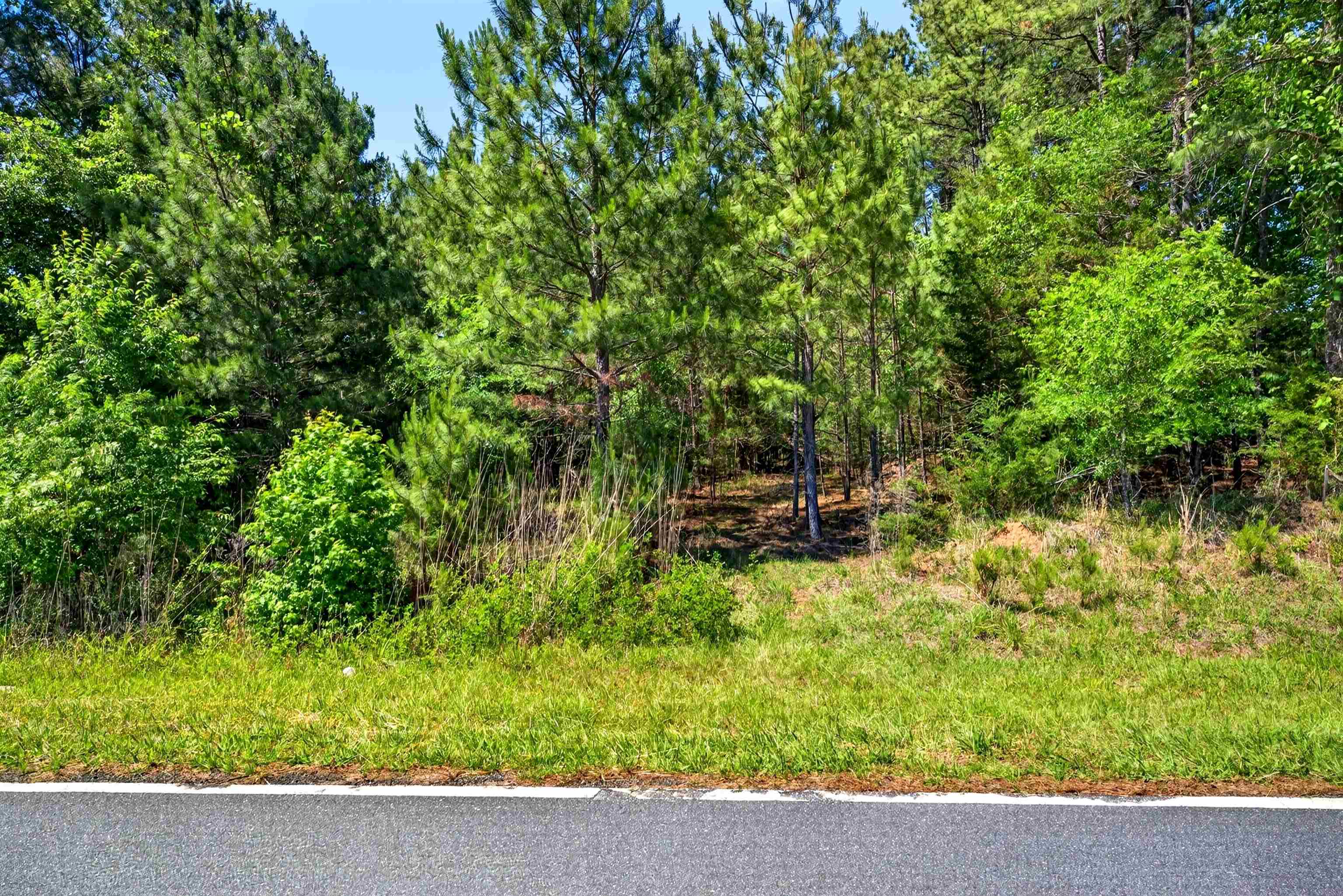 0 Gowdeysville Road Gaffney, SC 29340 - Photo 5 of 12