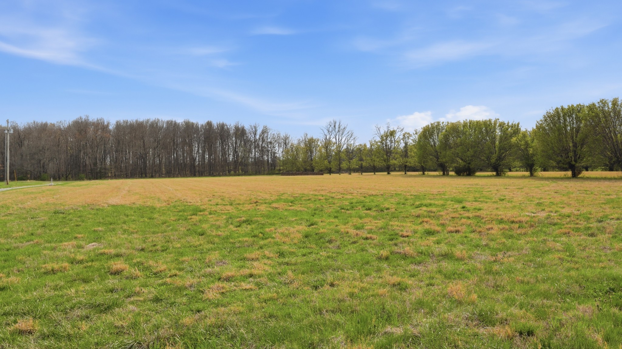 2877 Sixteenth Model Road Manchester, TN 37355 - Photo 6 of 38 a view of a field with trees in the background