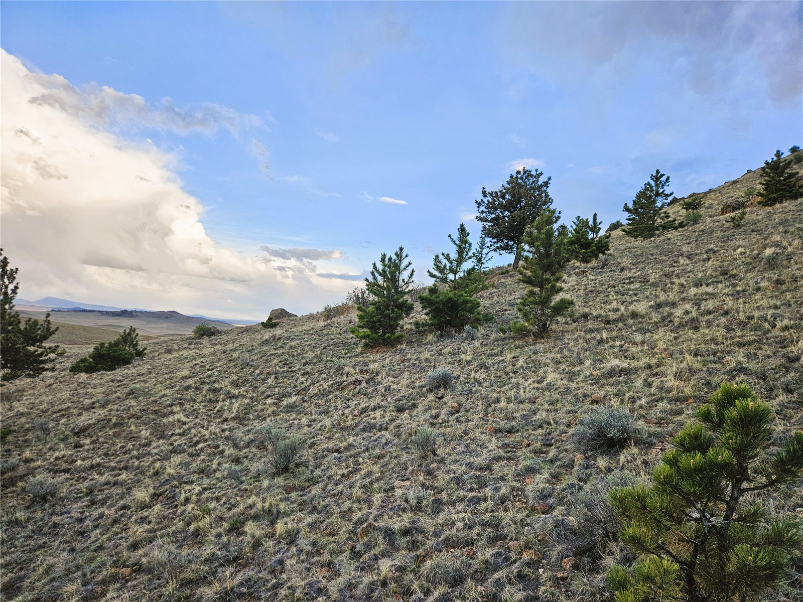 Pcs#25468 Sioux Road Hartsel, CO 80449 - Photo 19 of 23