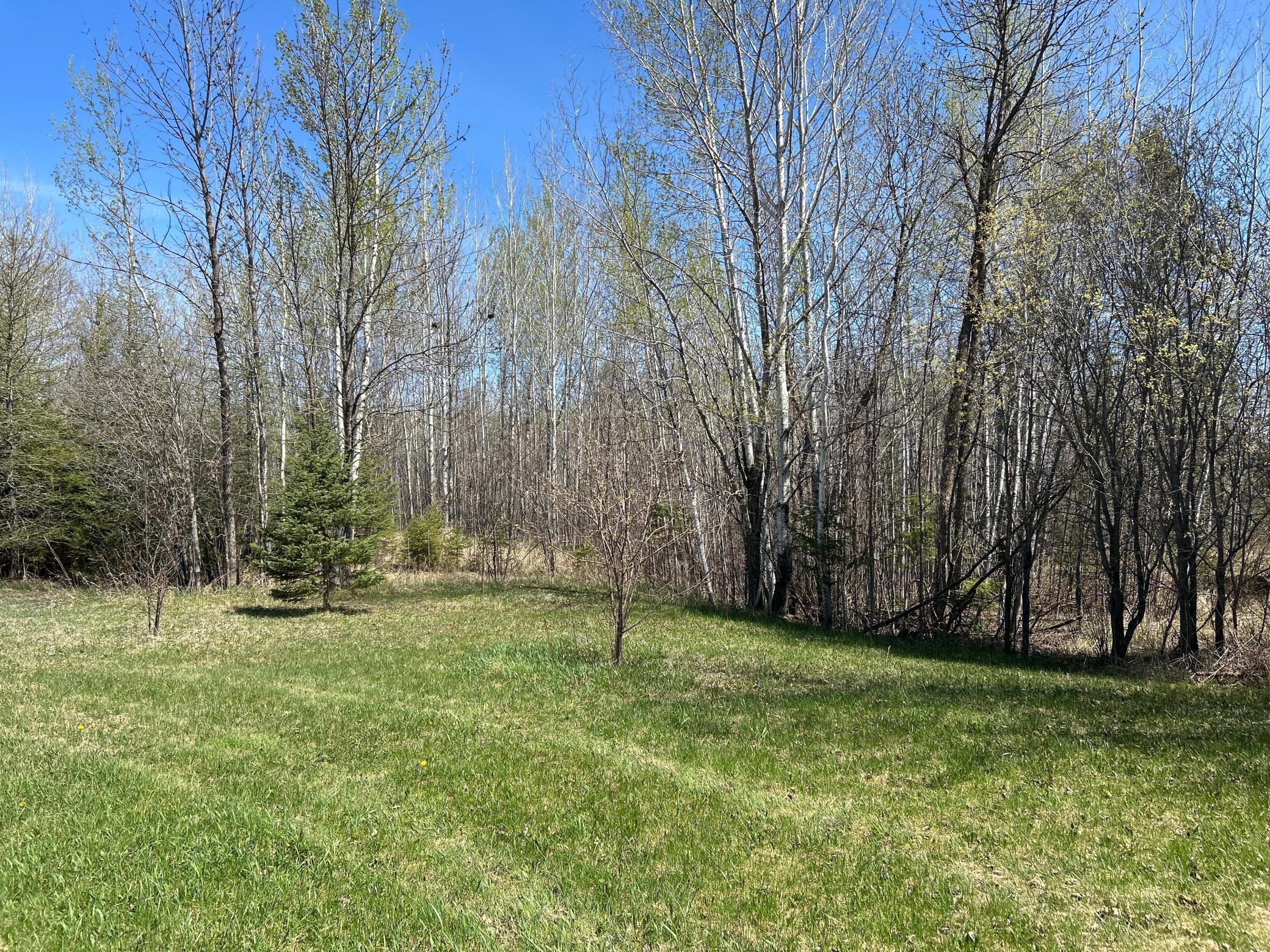 6972 16th Street Northwest Williams, MN 56686 - Photo 30 of 33