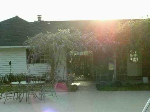 6926 Springhill Road Pollock, LA 71467 - Photo 2 of 9 Gallery Image 2