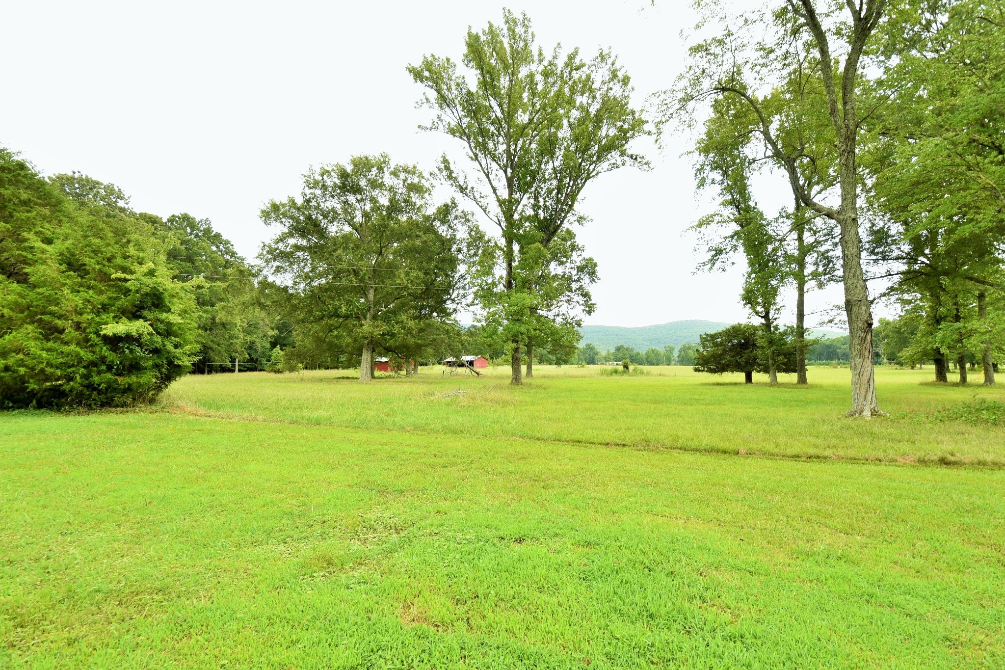 4970 Greenhaw Road Decherd, TN 37324 - Photo 29 of 34 Gallery Image 29
