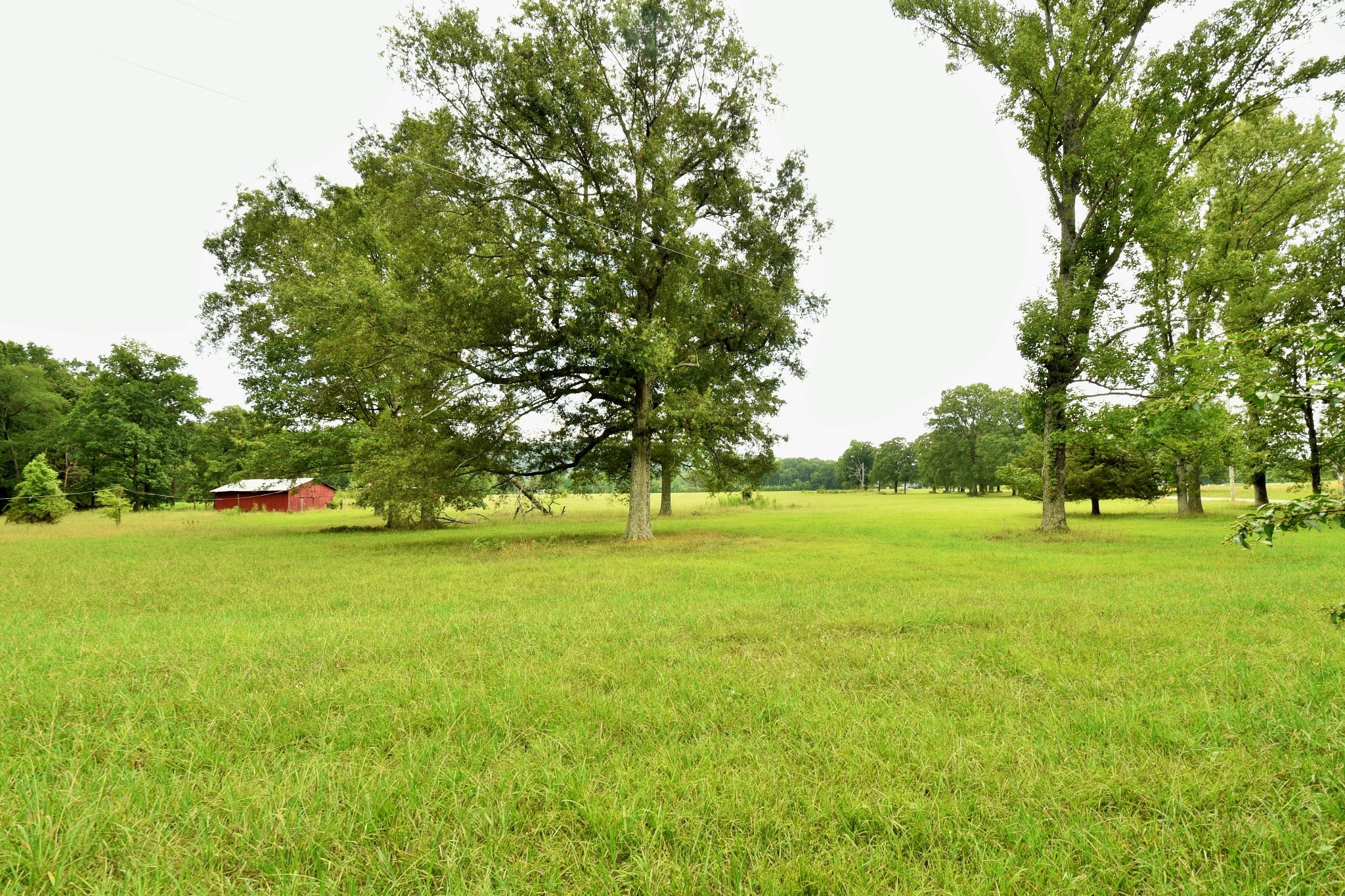 4970 Greenhaw Road Decherd, TN 37324 - Photo 30 of 34 Gallery Image 30