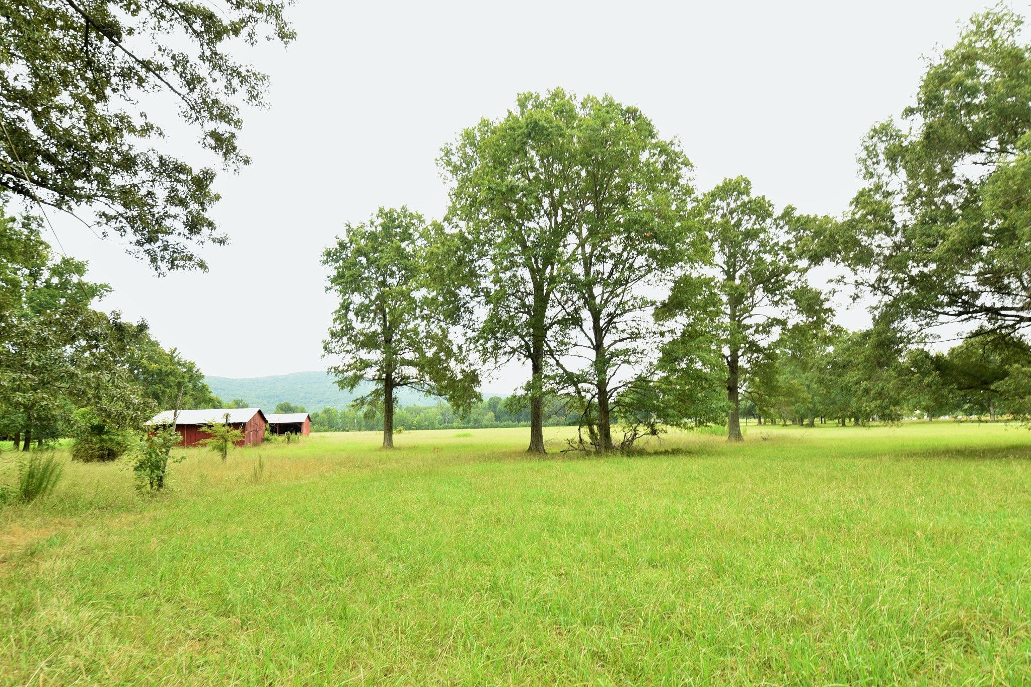 4970 Greenhaw Road Decherd, TN 37324 - Photo 31 of 34 Gallery Image 31