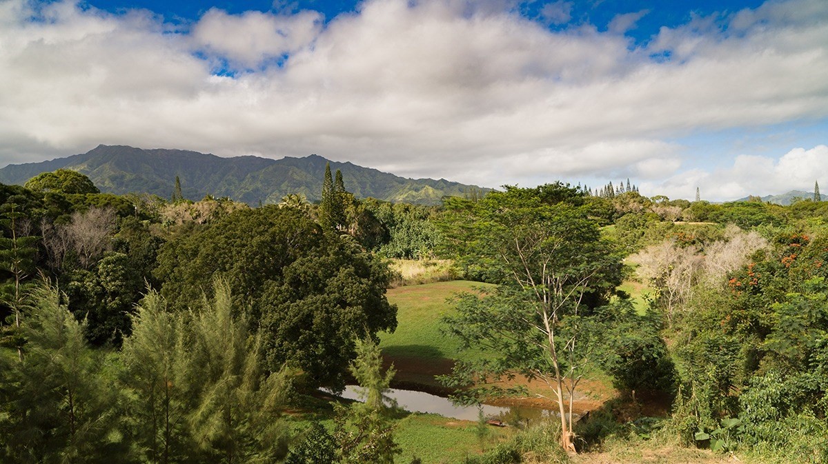 Olohena Road, Unit 3 Kapaa, HI 96746 - Photo 1 of 13 Gallery Image 1