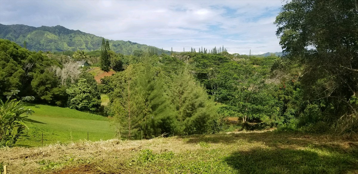 Olohena Road, Unit 3 Kapaa, HI 96746 - Photo 5 of 13 Gallery Image 5