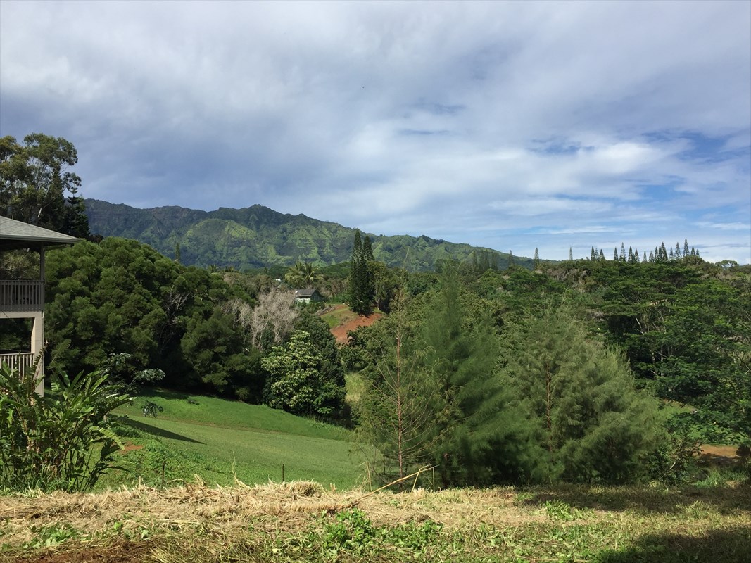 Olohena Road, Unit 3 Kapaa, HI 96746 - Photo 7 of 13 Gallery Image 7