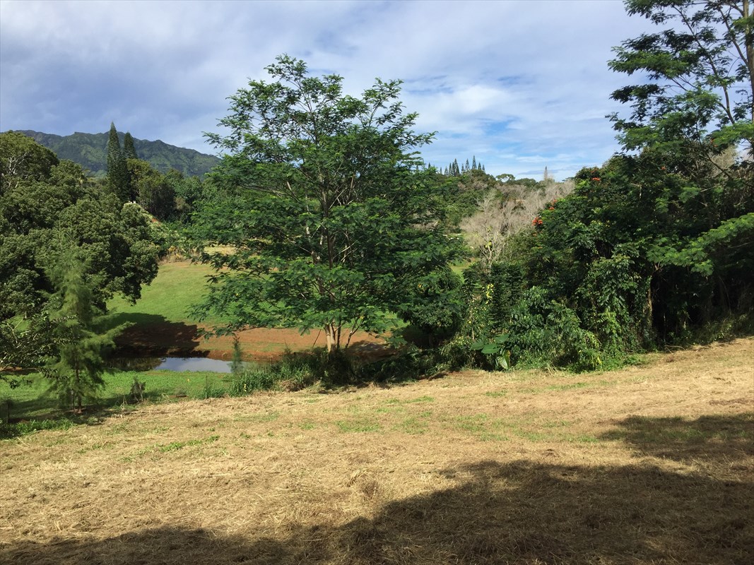Olohena Road, Unit 3 Kapaa, HI 96746 - Photo 10 of 13 Gallery Image 10