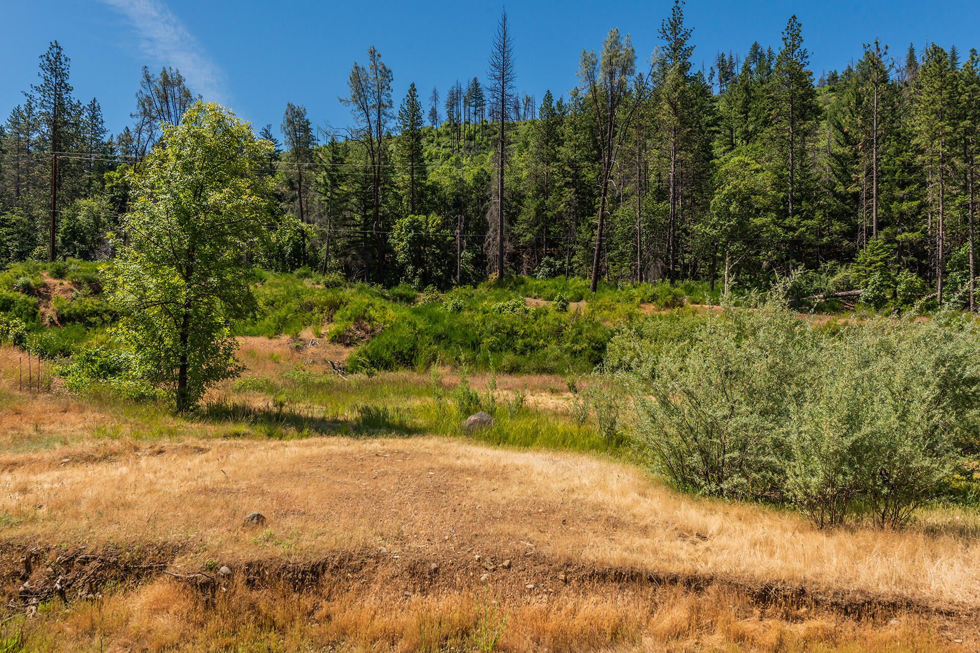901 Dutch Creek Road Junction City, CA 96048 - Photo 15 of 70