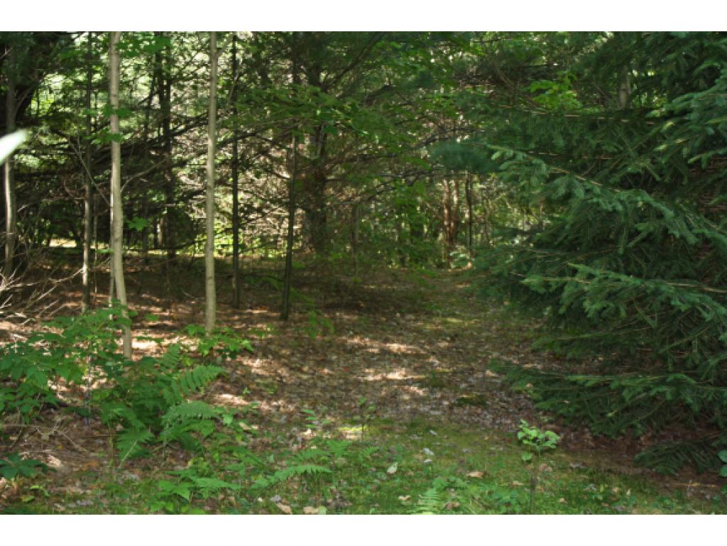 457 N Road Bethel, VT 05032 - Photo 22 of 23 Gallery Image 22