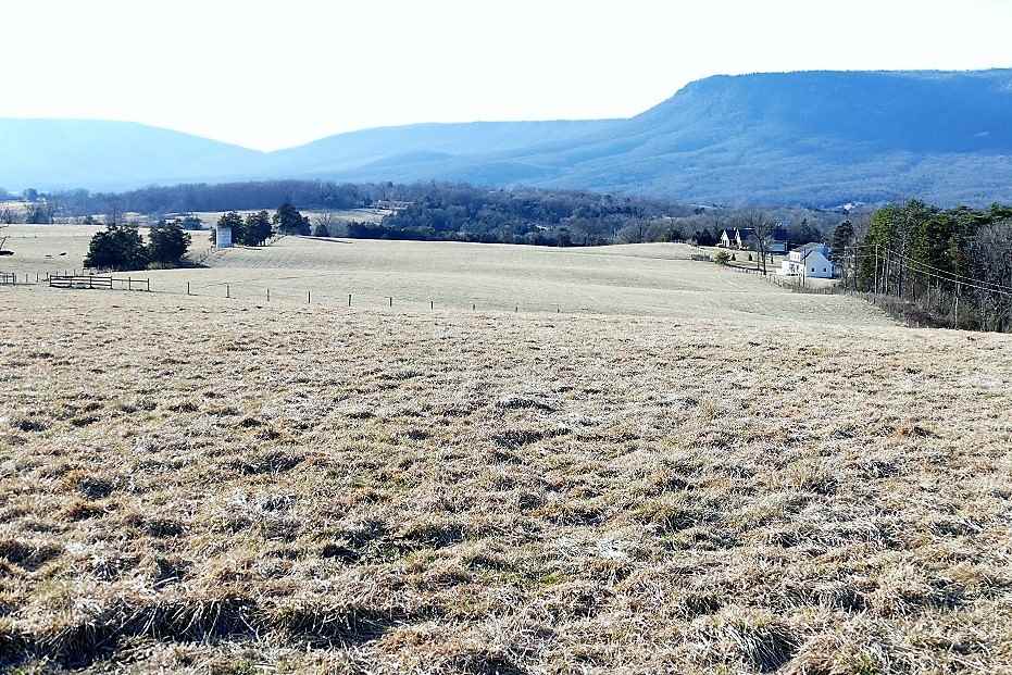 Lot1 Big Oak Road Luray, VA 22835 - Photo 8 of 13 Gallery Image 8