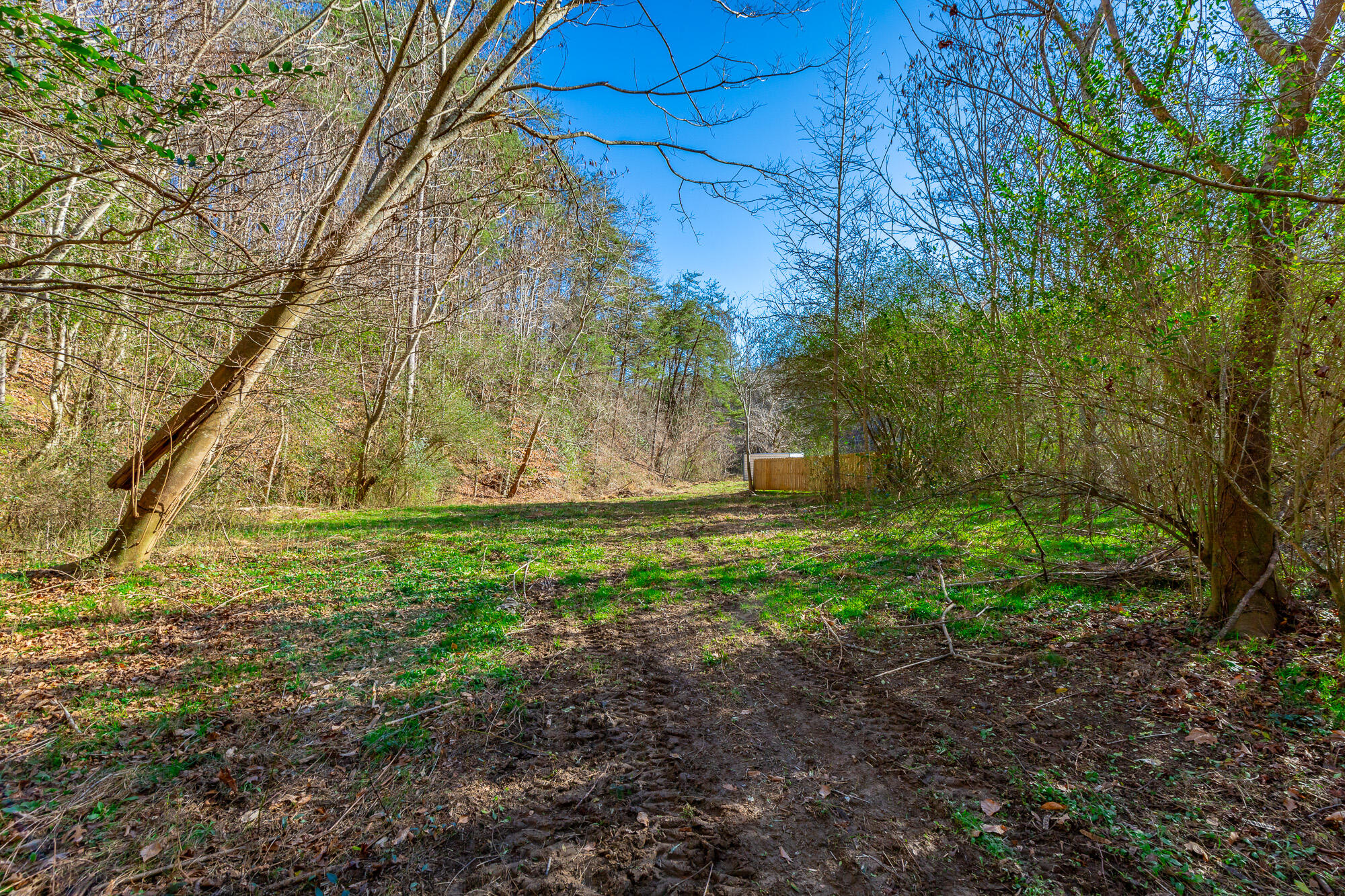 4516 Old Mineral Springs Road LaFayette, GA 30728 - Photo 63 of 90 4516 Old Mineral Springs Road HD-71