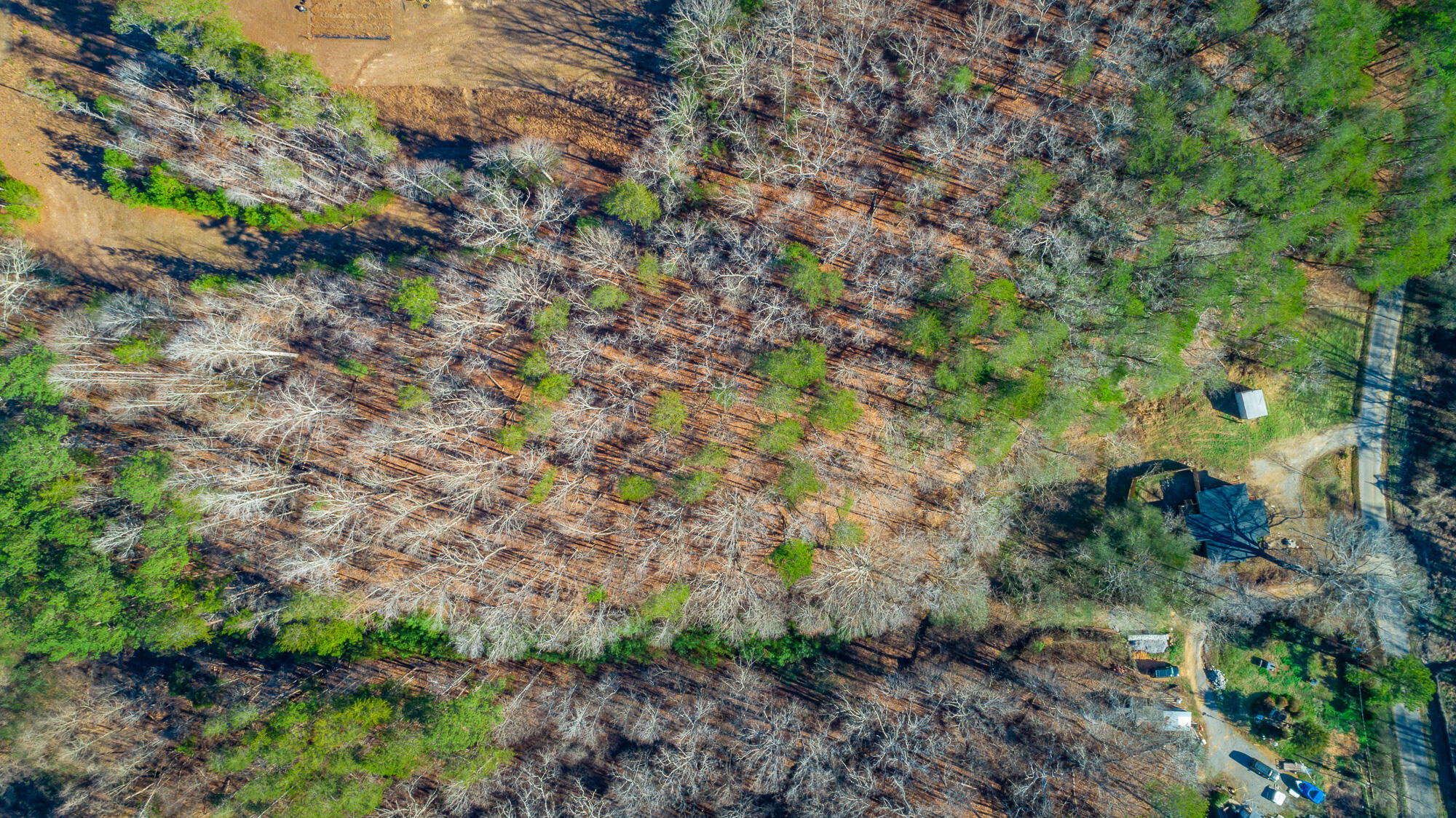 4516 Old Mineral Springs Road LaFayette, GA 30728 - Photo 64 of 90 4516 Old Mineral Springs Road HD-72