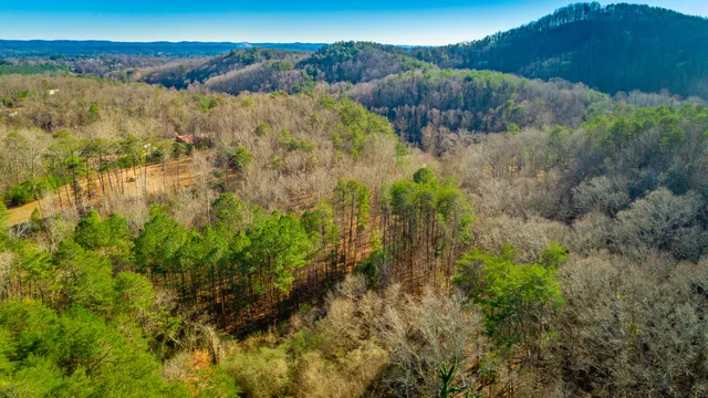 $245,000 | 4516 Old Mineral Springs Road, LaFayette, GA 30728