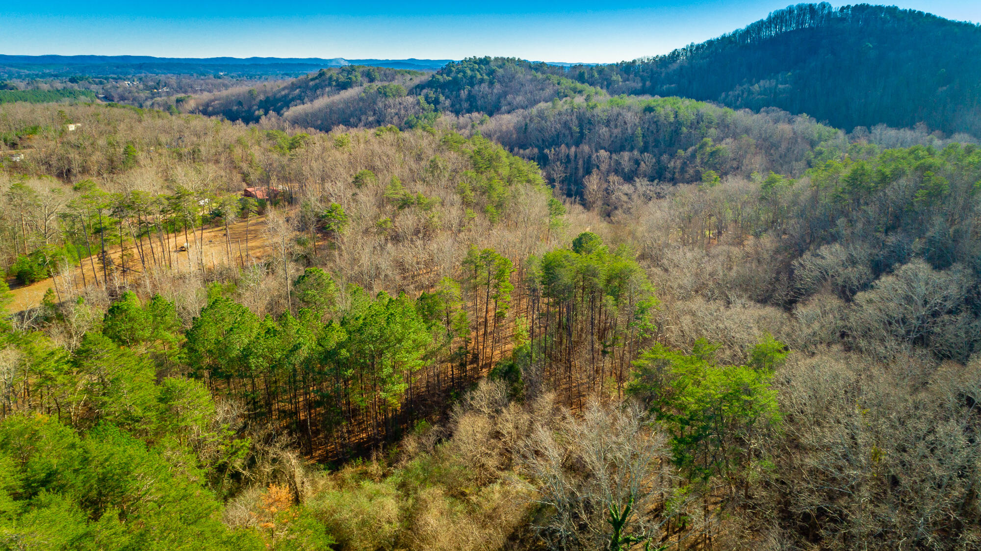 4516 Old Mineral Springs Road LaFayette, GA 30728 - Photo 81 of 90 4516 Old Mineral Springs Road HD-89