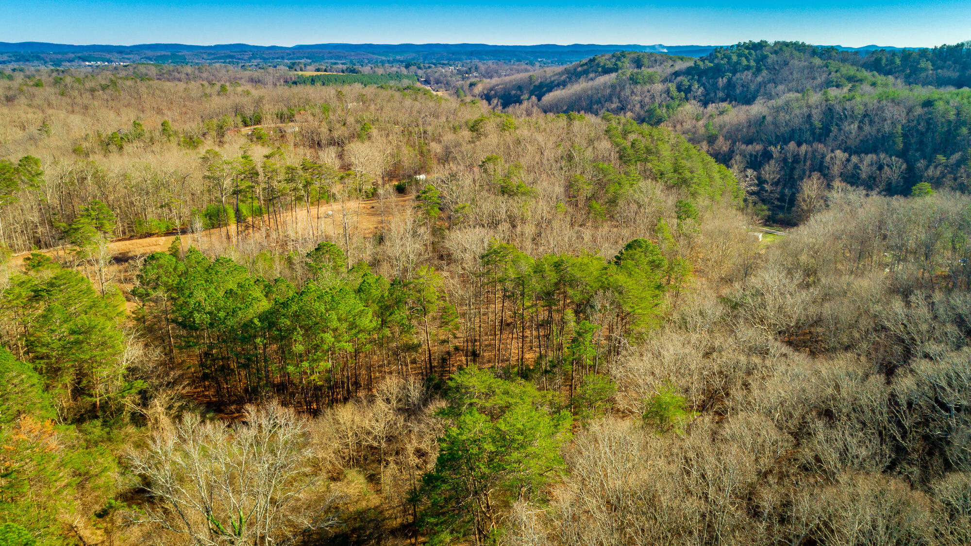 4516 Old Mineral Springs Road LaFayette, GA 30728 - Photo 82 of 90 4516 Old Mineral Springs Road HD-90