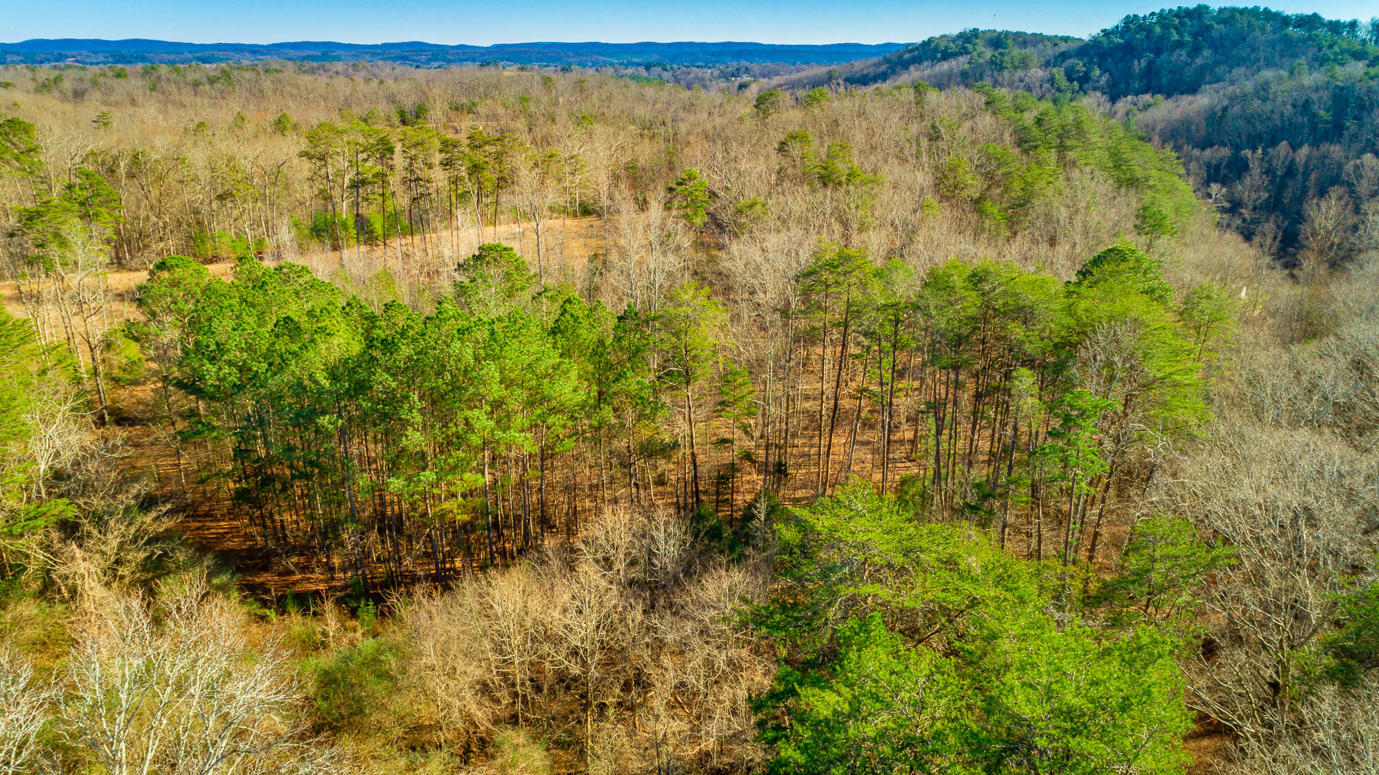 4516 Old Mineral Springs Road LaFayette, GA 30728 - Photo 83 of 90 4516 Old Mineral Springs Road HD-91