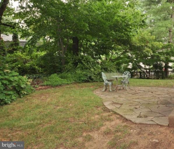 9853 Natick Road Burke, VA 22015 - Photo 23 of 24 Back yard