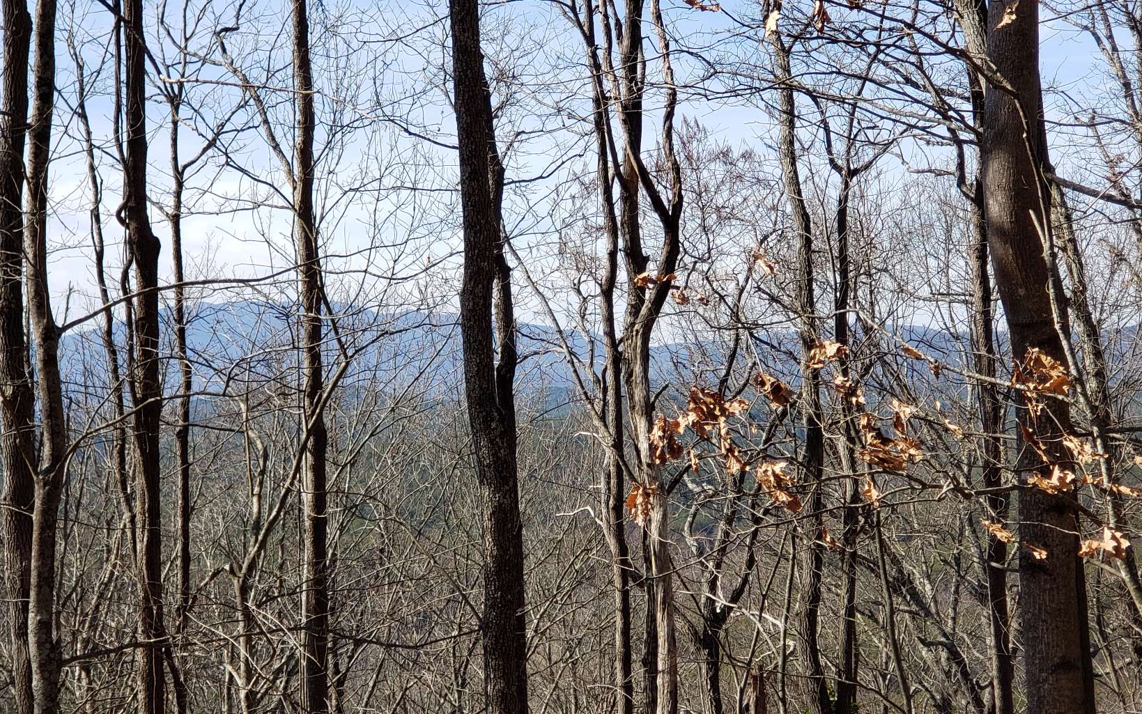 28 A Sassafras Ridge Road Turtletown, TN 37391 - Photo 11 of 25 Additional View