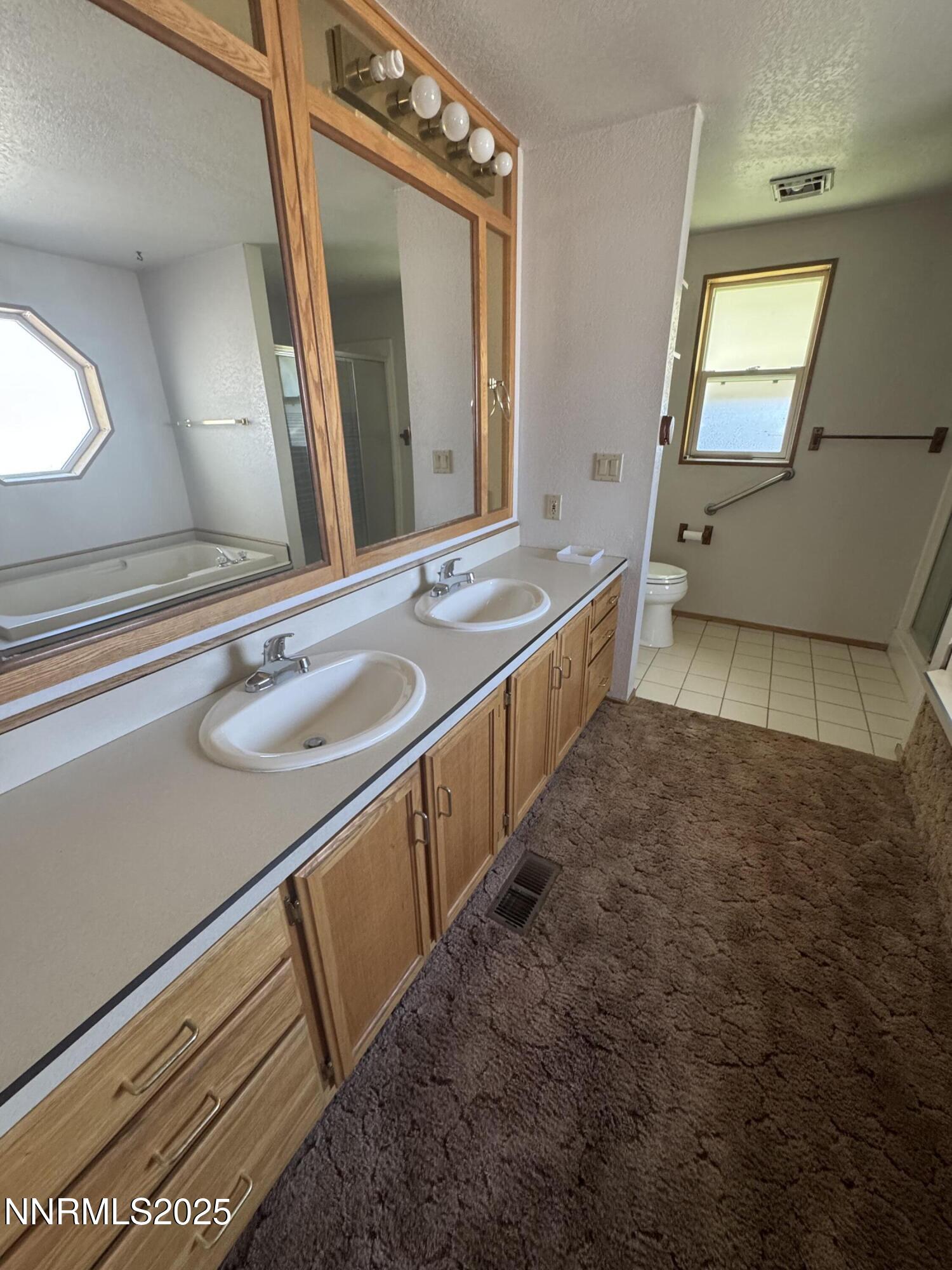 3255 Upper Valley Road Lovelock, NV 89419 - Photo 21 of 28 a bathroom with a sink and a mirror