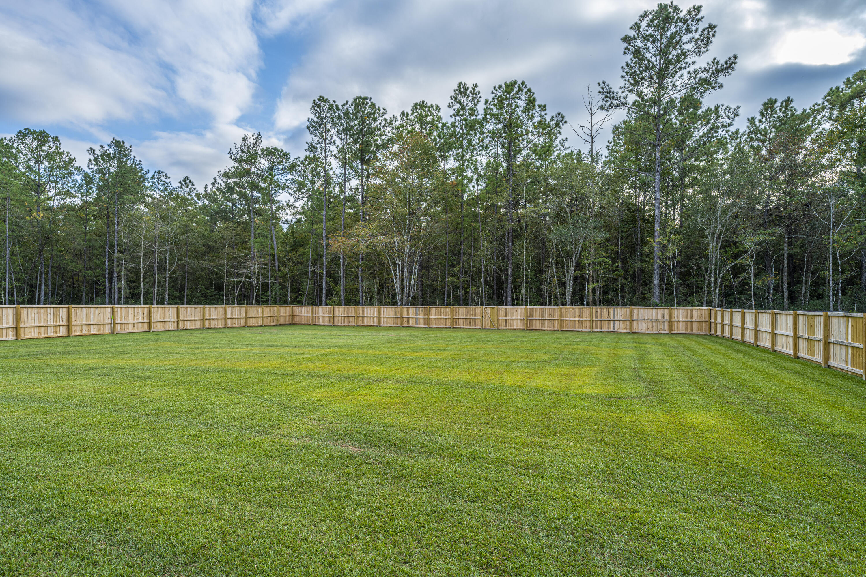 109 Box Girder Road Huger, SC 29450 - Photo 22 of 36 Backyard1109BoxGirderRd50