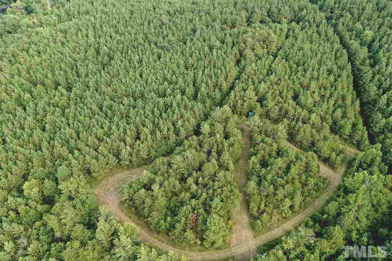 210.5-ac Woodsdale Road Roxboro, NC 27574 - Photo 8 of 30 a view of a forest that has a tree