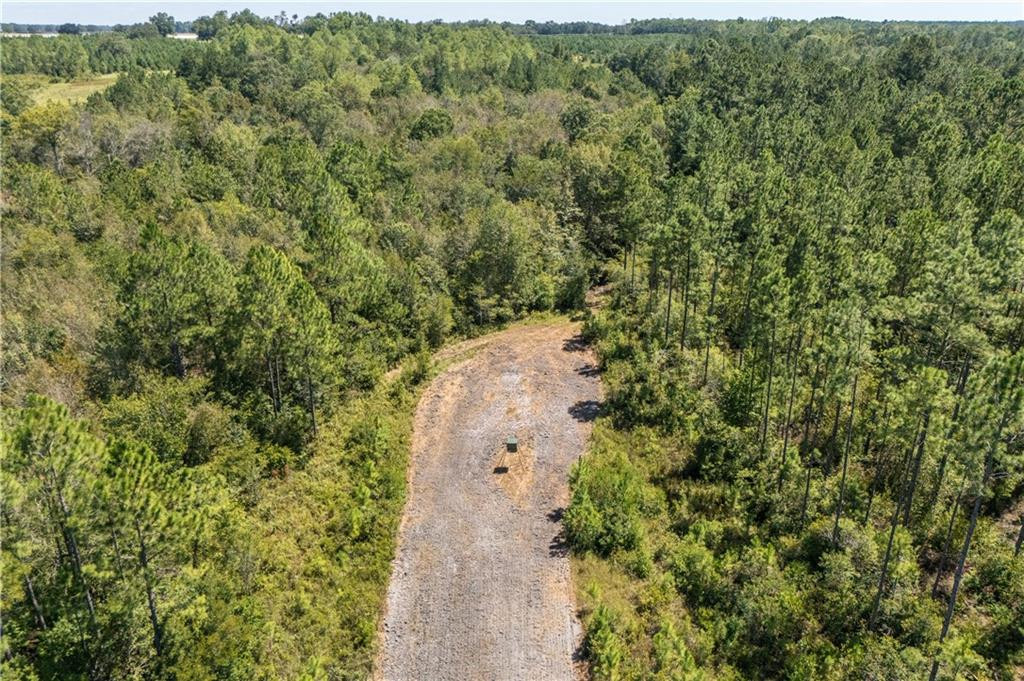 1603 Dl Durrence Road Reidsville, GA 30453 - Photo 21 of 31 Photo 21