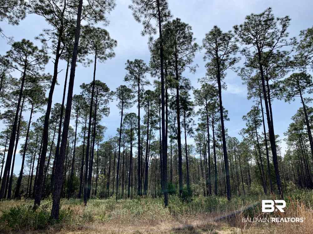0 Three 3 Rivers Road Seminole, AL 36574 - Photo 14 of 27