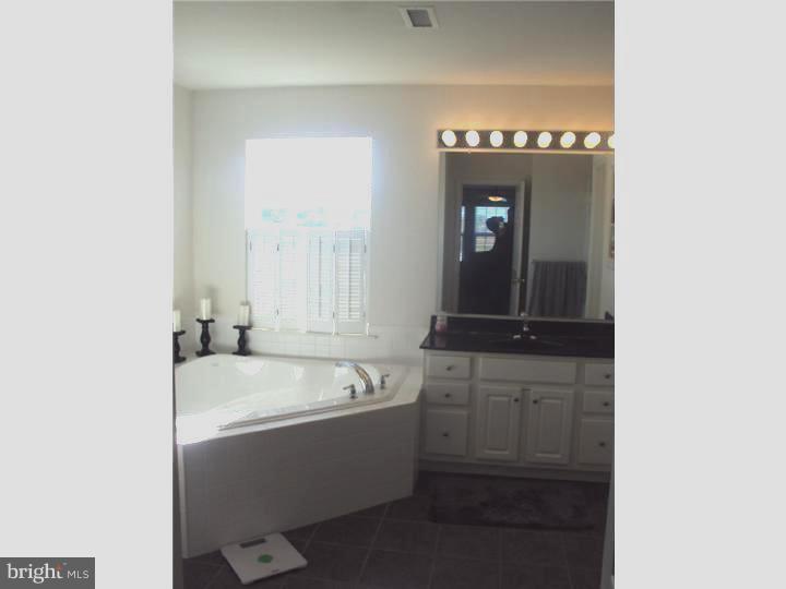 706 Farmhouse Road Mickleton, NJ 08056 - Photo 17 of 24 a bathroom with a bathtub and a sink