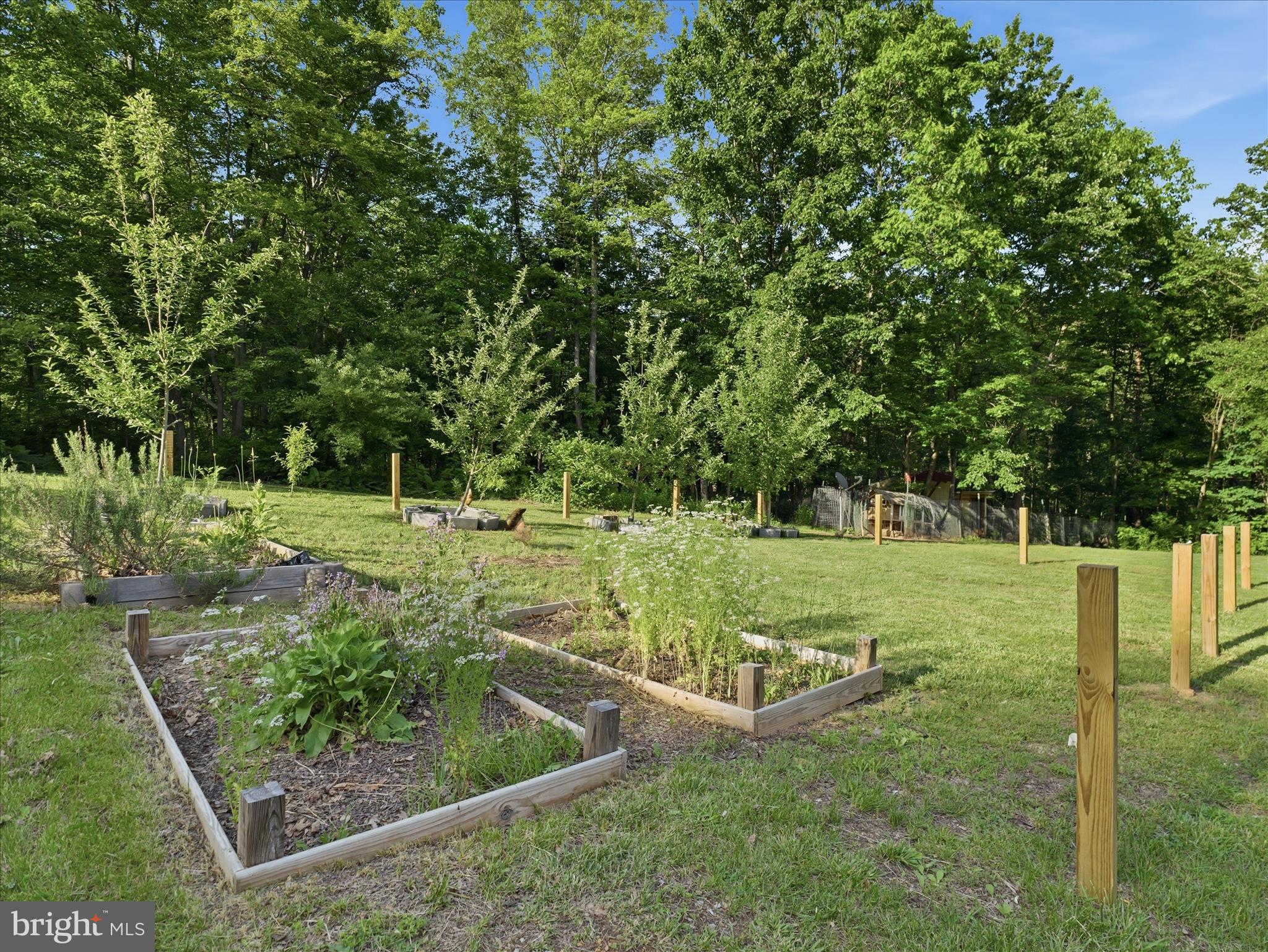 286 Tub Run Hollow Road Hedgesville, WV 25427 - Photo 71 of 72 Plenty of room for a fenced-in garden!