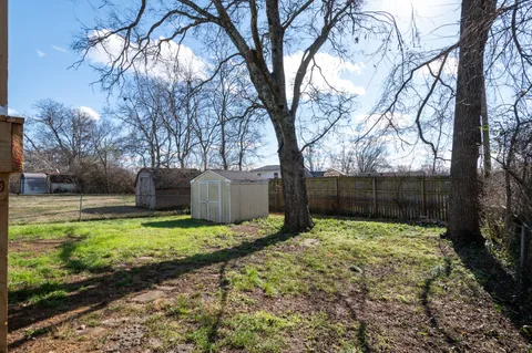 a large tree in middle of the garden