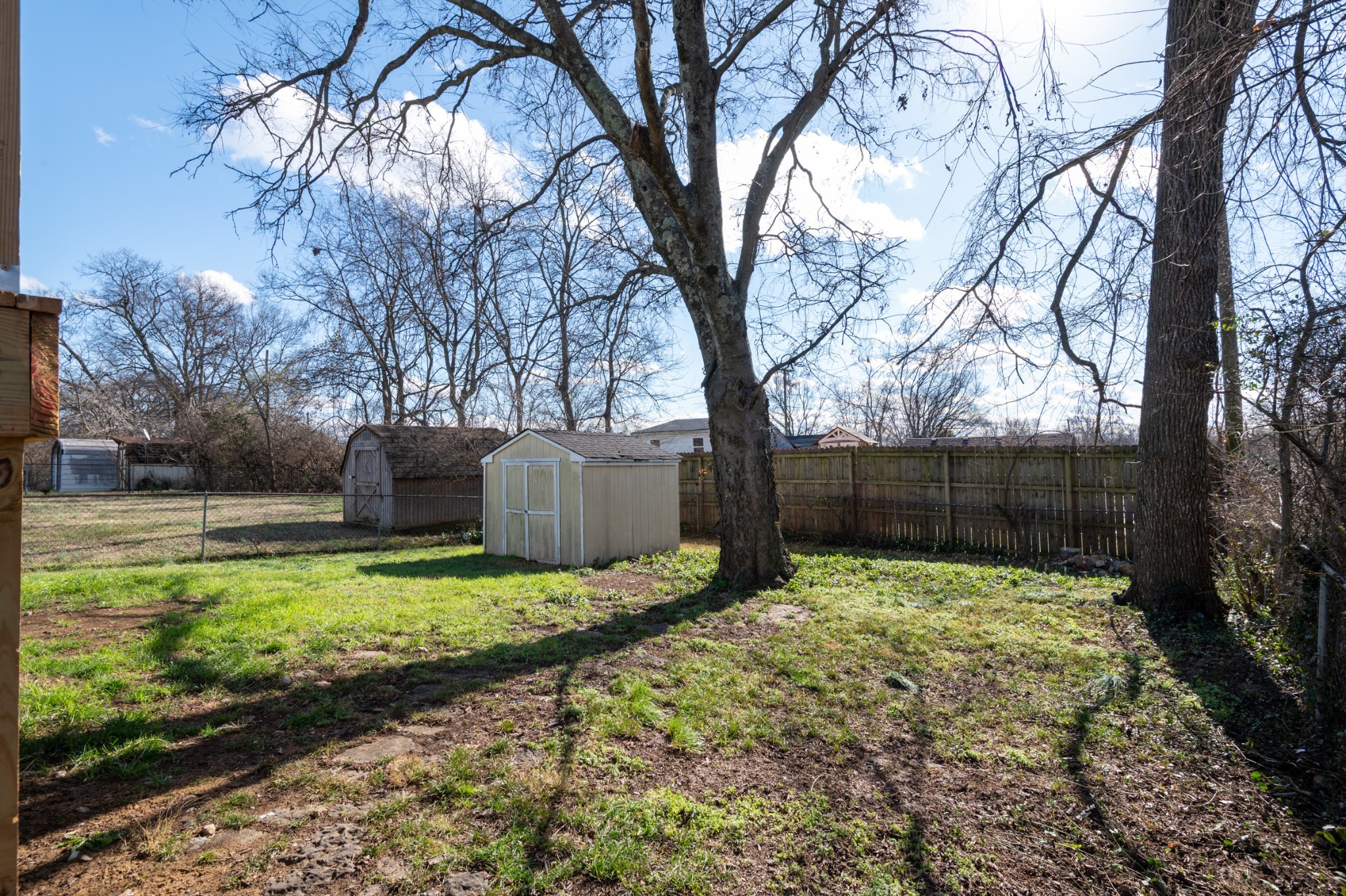 112 Wiley Street Madison, TN 37115 - Photo 35 of 36 a large tree in middle of the garden