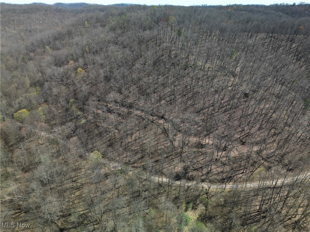 Rush Run Road Arnoldsburg, WV 25234 - Photo 4 of 11 Gallery Image 4
