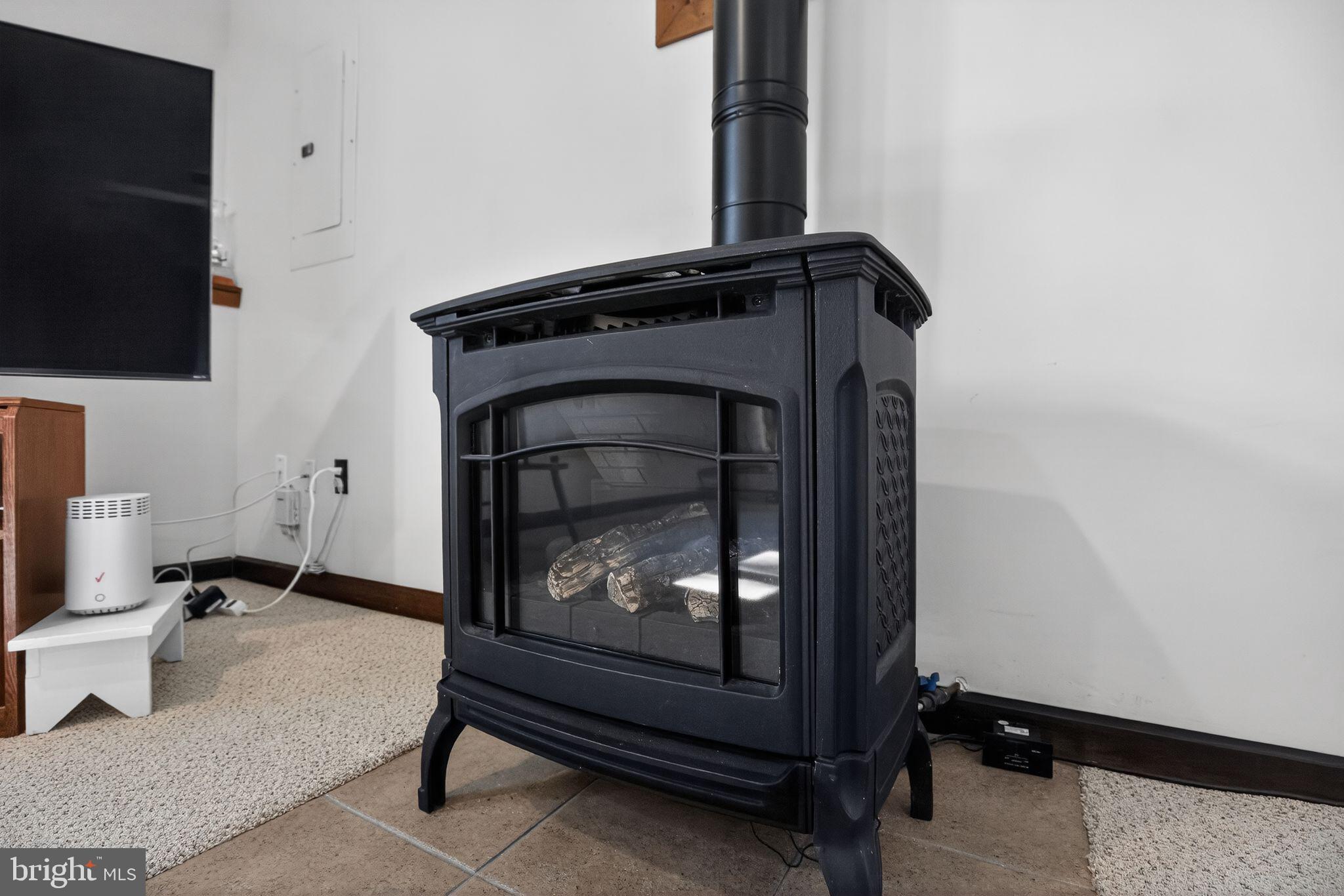 14004 South Springfield Road Brandywine, MD 20613 - Photo 29 of 54 propane stove