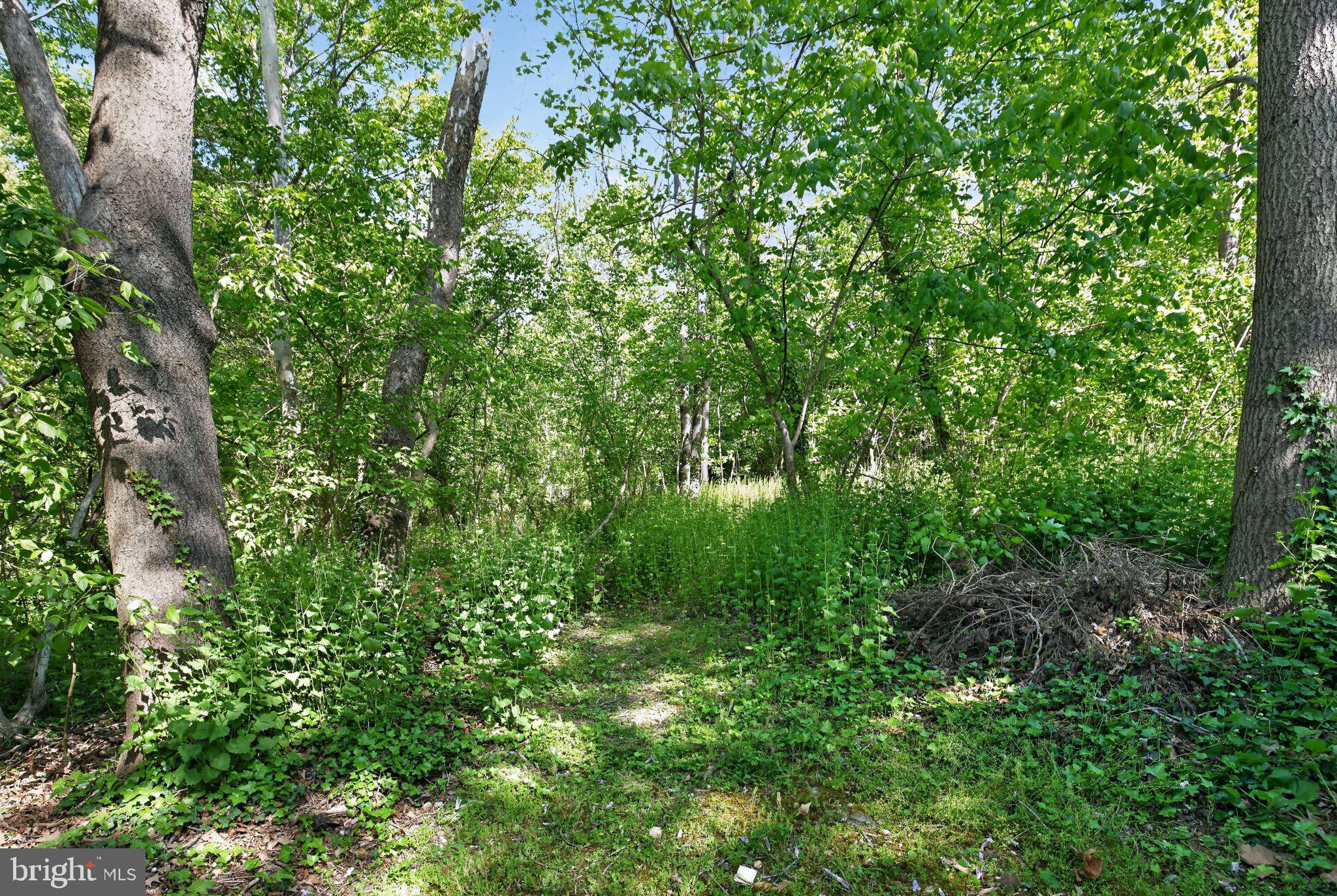 14004 South Springfield Road Brandywine, MD 20613 - Photo 49 of 54