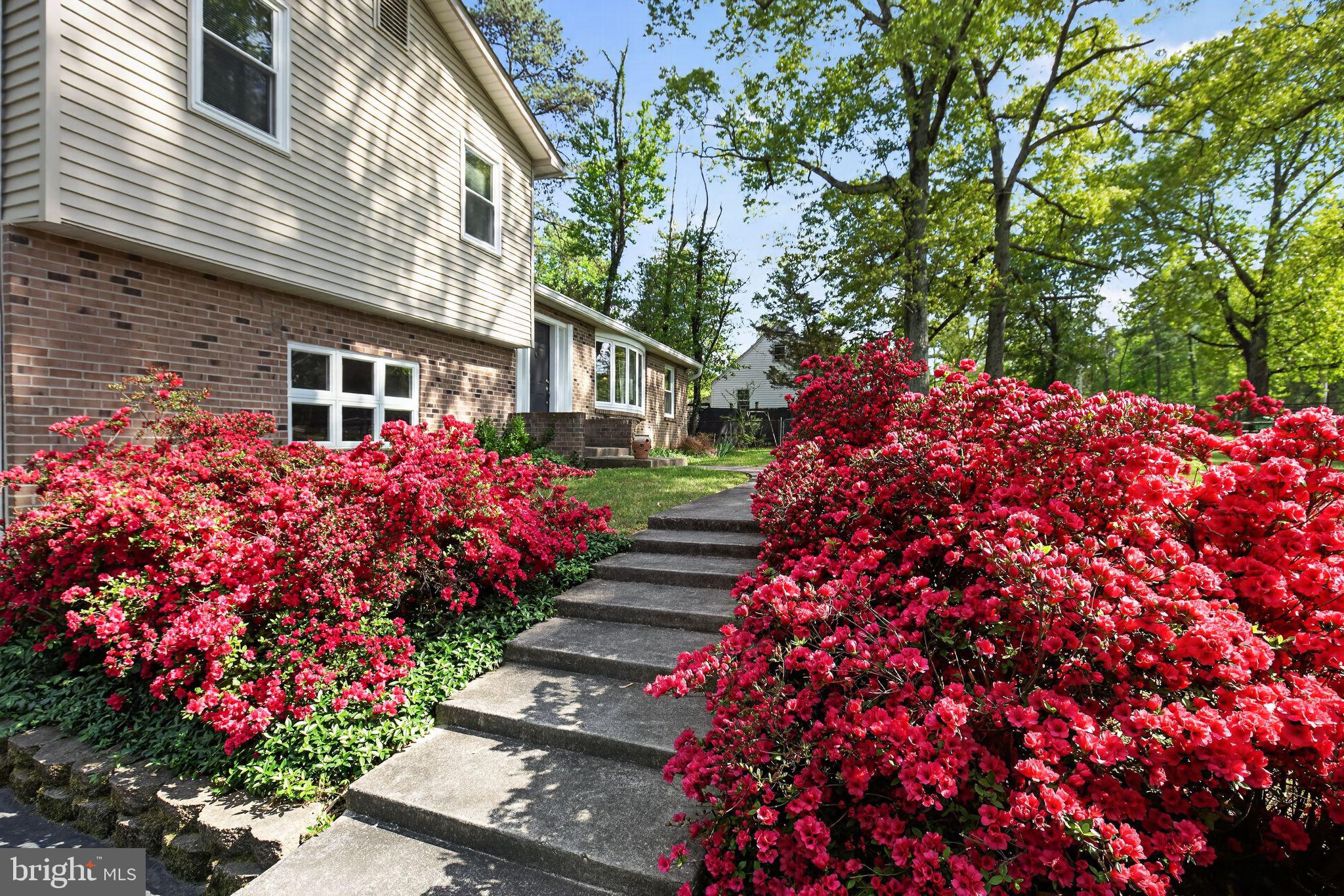 14004 South Springfield Road Brandywine, MD 20613 - Photo 7 of 54 What a walk way