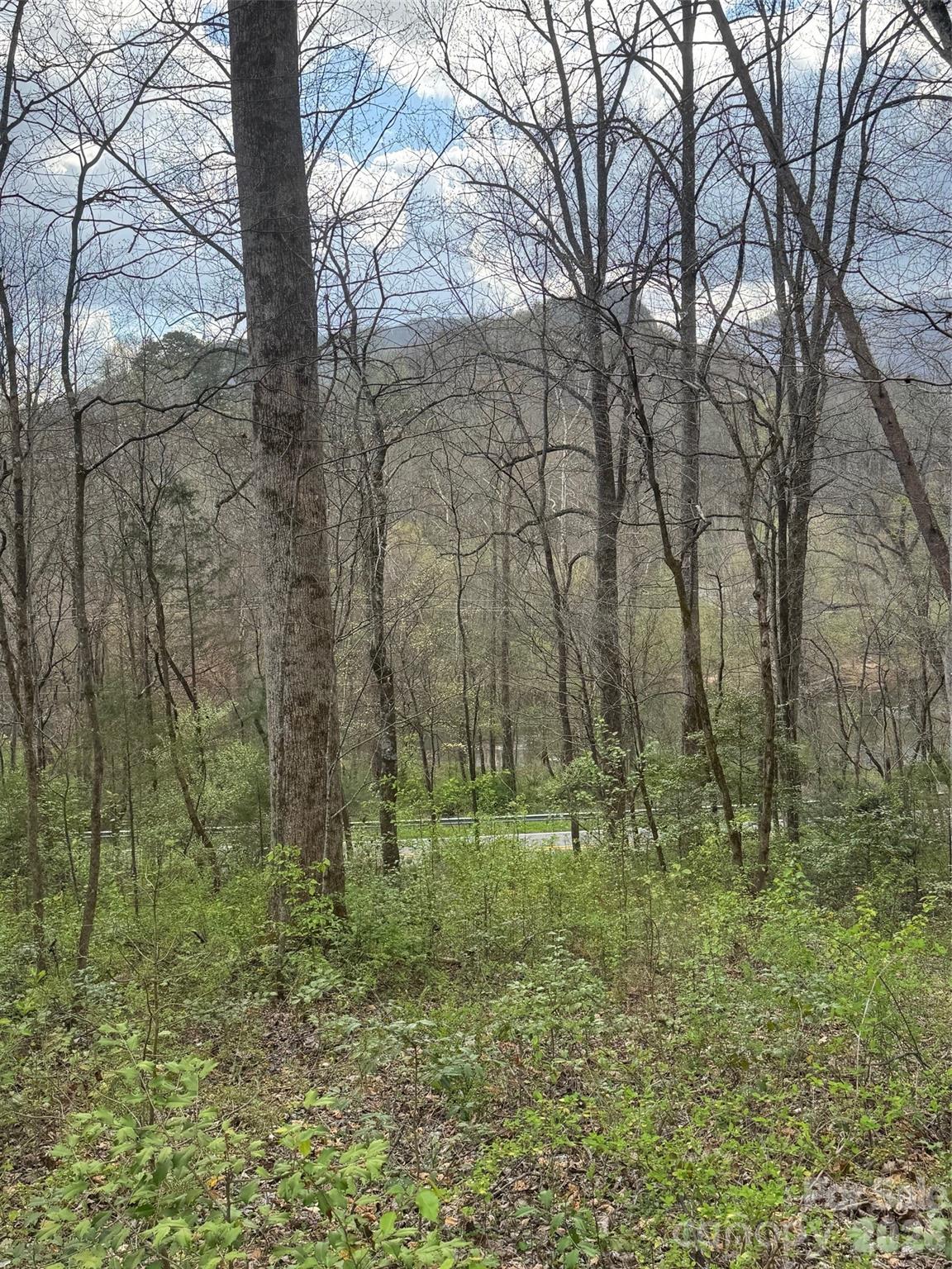 315 North River Road Sylva, NC 28779 - Photo 36 of 42