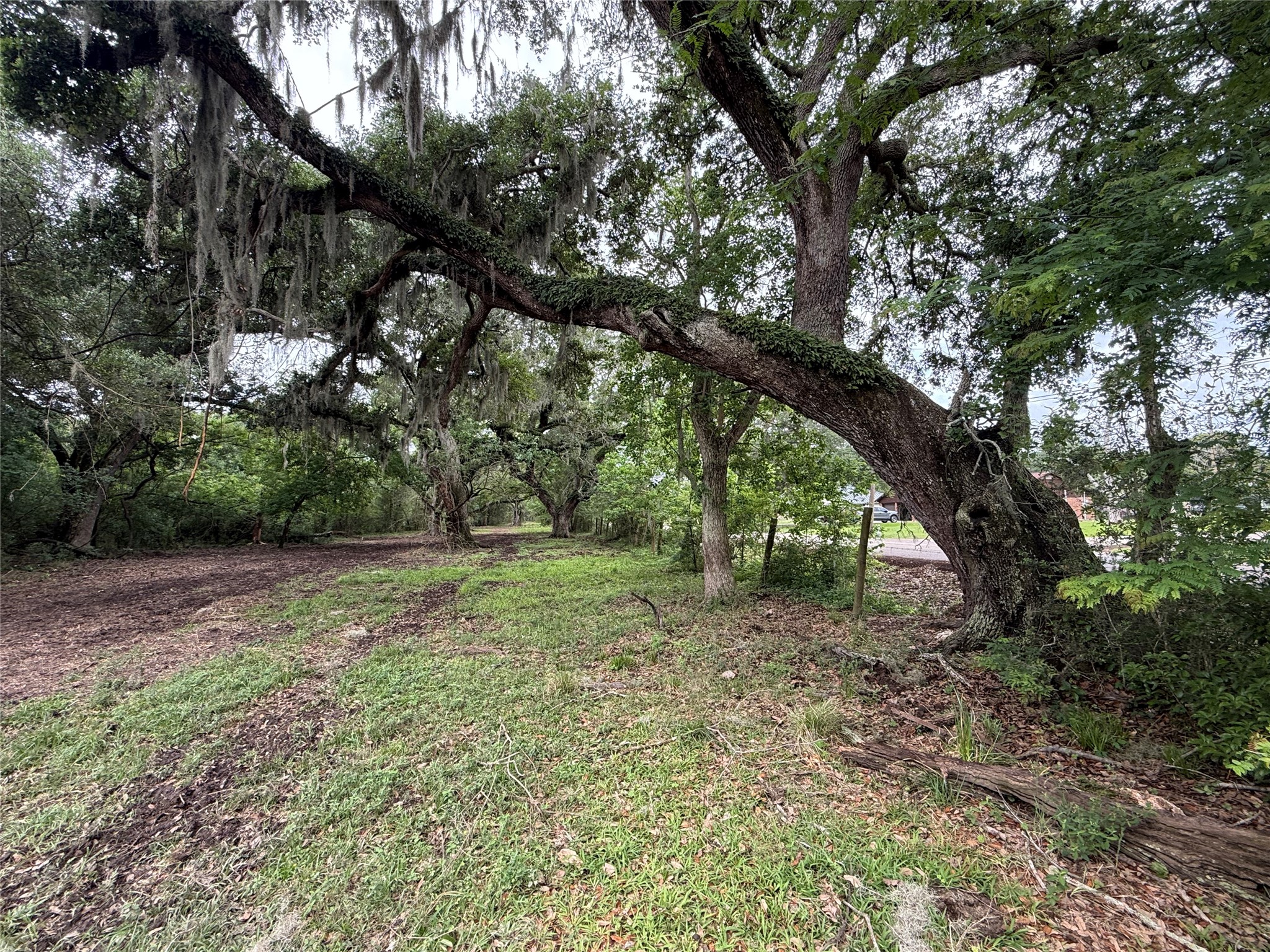 6833 Bryan Road Freeport, TX 77541 - Photo 7 of 7