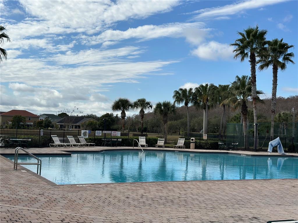 4150 Vanern Way Kissimmee, FL 34746 - Photo 48 of 51 a view of swimming pool with a lake