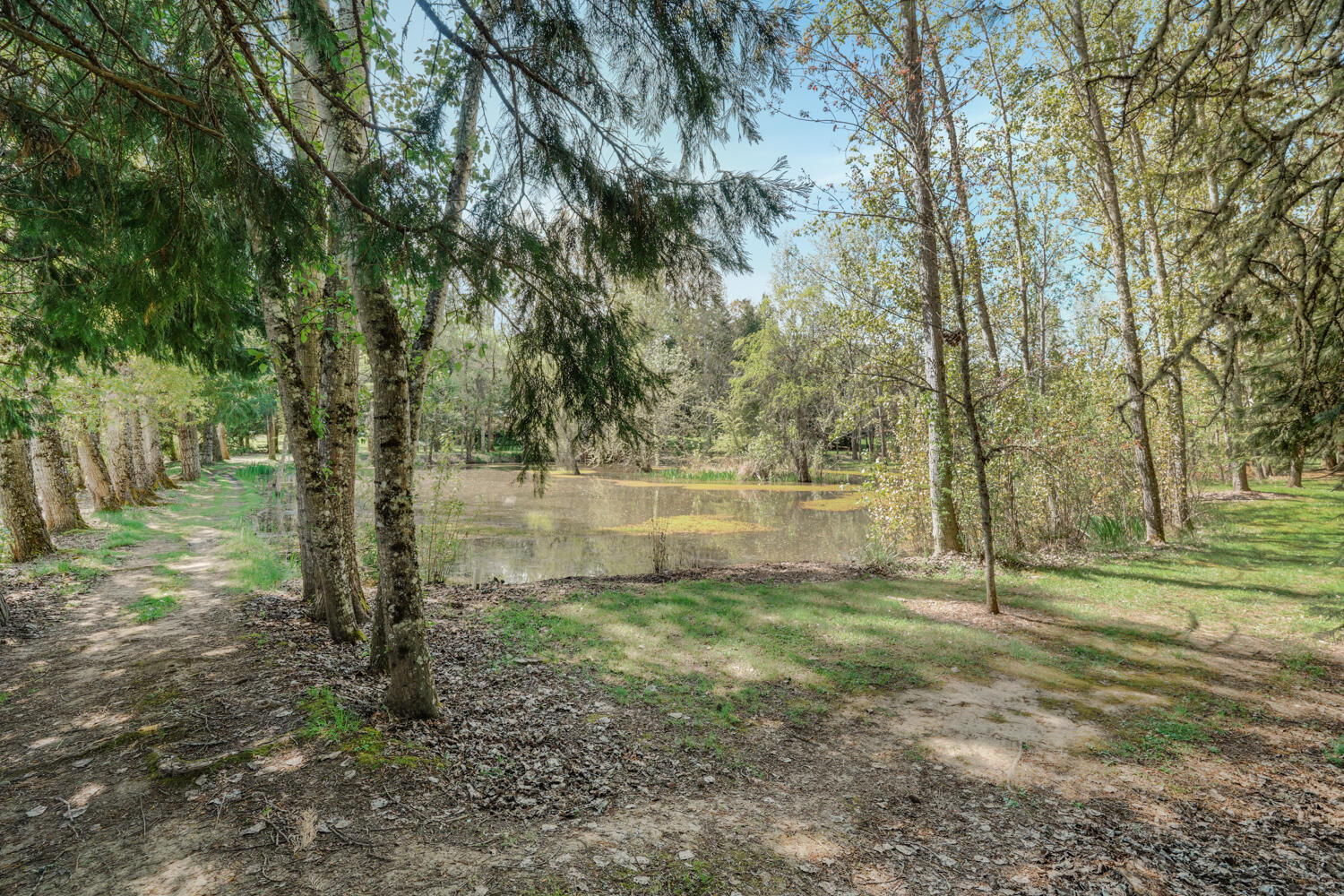 1381 Oak Hill Road Roseburg, OR 97471 - Photo 36 of 47 DSC00993