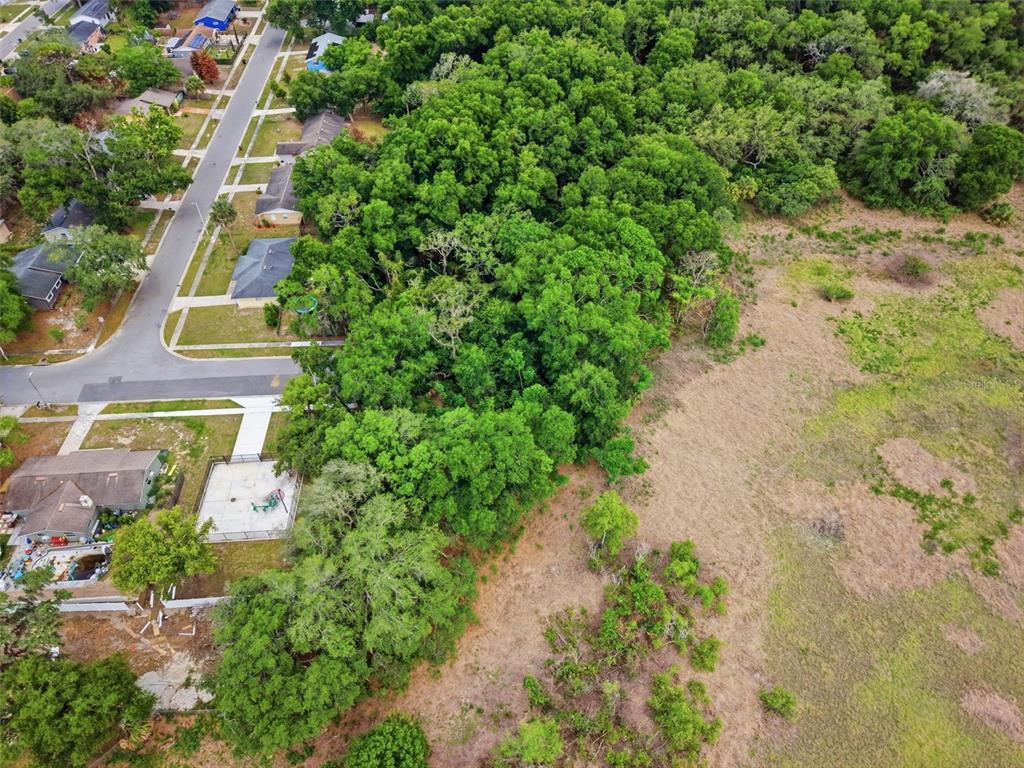 Sardina Boulevard Orlando, FL 32818 - Photo 13 of 17