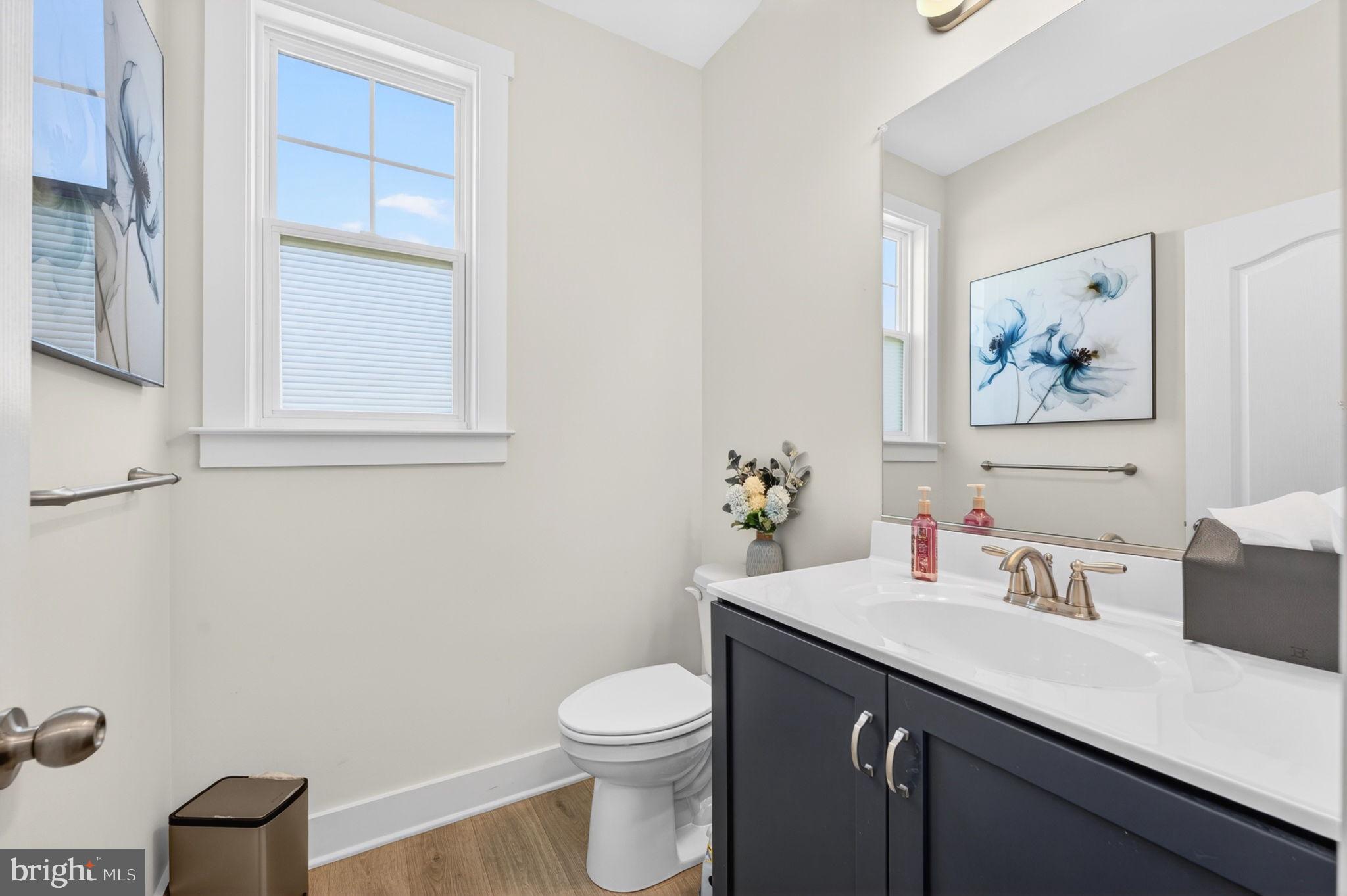 30 Range Road North East, MD 21901 - Photo 62 of 73 a bathroom with a sink a toilet and a mirror