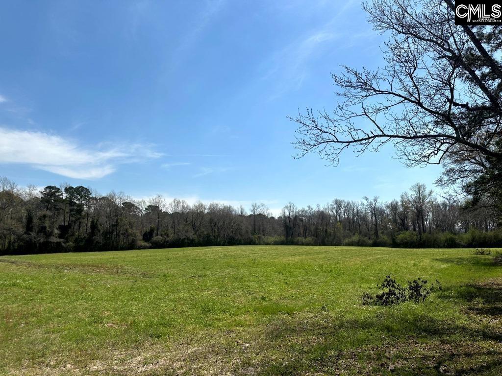 Pleasant Grove Road Loris, SC 29569 - Photo 13 of 13